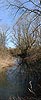 Panoramic image floodplain