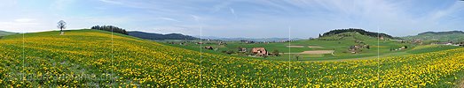 Panoramabild Frühling