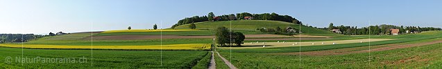 Grosspanorama Kulturlandschaft