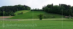 Panoramabild Frühlingslandschaft
