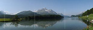 Panoramic image Lake Sils (Lej da Segl)
