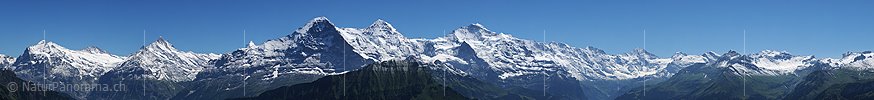 Grosspanoramabild Dreigestirn und Berner Alpen von der Schynige Platte
