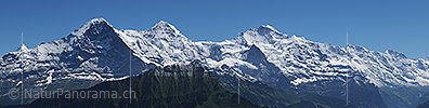 Large panorama photo Eiger, Mönch and Jungfrau and Co. from the Schynige Platte
