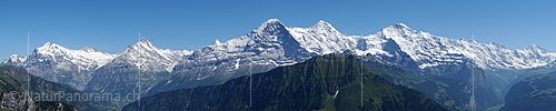 Panoramafoto von Wetterhorn, Schreckhorn, Eiger, Mönch und Jungfrau von der Schynigen Platte