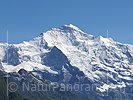 Grossbild Charakterberg Jungfrau