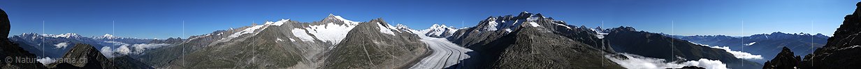 Hochauflösendes Panoramafoto Berner Alpen und Grosser Aletschgletscher vom Eggishorn