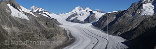 Grosspanorama Grosser Aletschgletscher