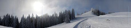 Panorama fog atmosphere in winter landscape