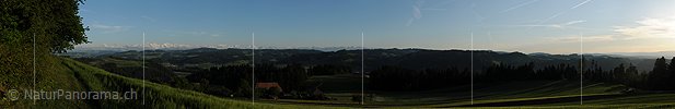 Panoramafoto Getreidefeld in lieblicher Hügellandschaft