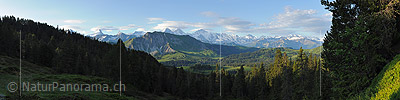 Panorama of Nature reserve