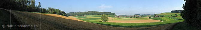 Panoramic picture Cultural landscapes