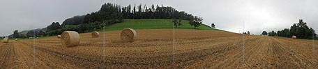 Panorama of straw roles