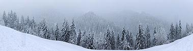Panoramic picture snowfall