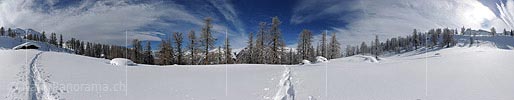360 ° panoramic gigapixel picture lights larch forest in winter