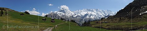 Panoramabild Spilbodenalp, Mürren