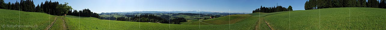 Panoramic image cultivated land in the hills