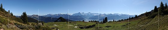 Panoramabild Blick vom Gemmenalphorn (Berner Oberland) Richtung Berner Alpen
