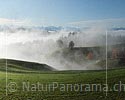 Large image autumn morning in hilly landscape