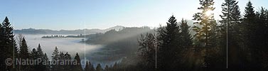 Panoramic image Morning at the fog level