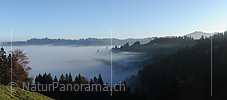 Panoramabild Morgenstimmung an der Nebelgrenze