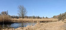 Panorama meadow landscape