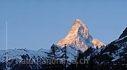 Panoramabild Matterhorn im Morgenrot