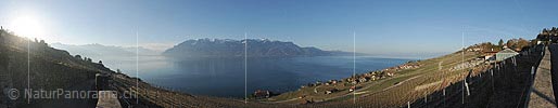 Panorama Vineyards on Lake Geneva