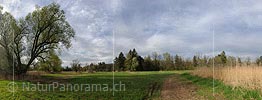 Panoramic image floodplain