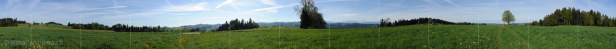 Panorama Weidland im Emmental