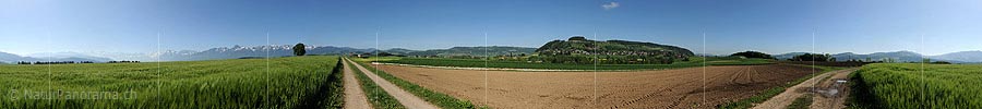 360° Panoramic image cultivated land in Kirchdorf