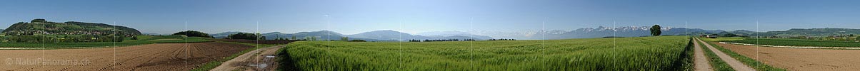 360° Panoramic photo cultivated land in Kirchdorf