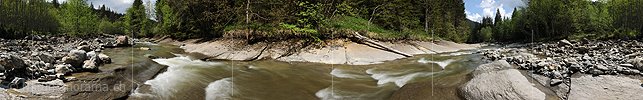 Panoramabild Wilder Bergbach in Waldlandschaft