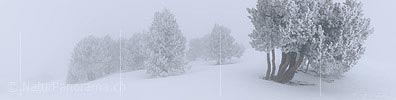 Panoramic image In dense fog