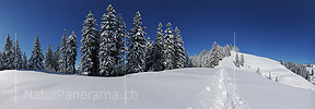 Panorama photo Deep snow covered hills