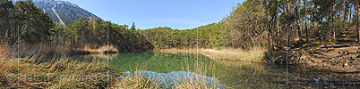 Panoramic photo Small lake in the forest with reed belt