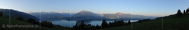Panorama Morgenstimmung über der Thunerseeregion