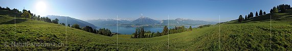 Hochauflösendes 360° Panorama Berner Alpen, Niesen und Thunerseeregion