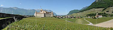 Panoramic photo Vineyards and Aigle Castle