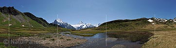 Panoramic photo Water meadow before Bernese Alps