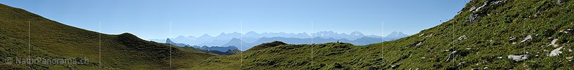 Panoramabild Konturen der Berner Alpen