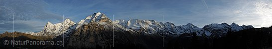 Panorama der Berner Hochalpen im Abendlicht