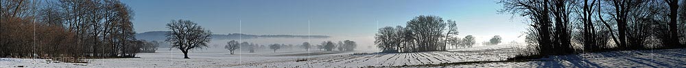Panoramic photo Individual trees and groups of trees in the upcoming fog