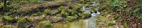 Panoramic photo creek in spring forest (long exposure)