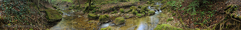 360° Panoramic photo creek in spring forest (long exposure)