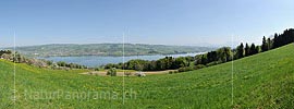 Panoramic photo Lake Baldegg