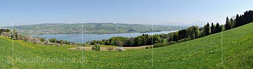 Panoramic photo Lake Baldegg