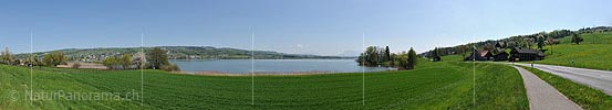 Panorama Lake Baldegg