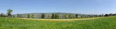 Panoramic photo Spring at Lake Baldegg