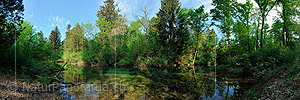 Panorama photo Quiet watercourse in floodplain forest