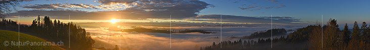Panoramafoto Morgenstimmung mit Nebelmeer vor Berner Alpen